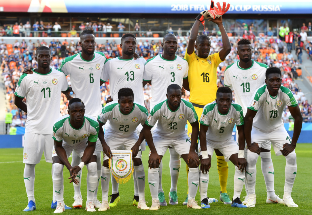 特兰加雄狮塞内加尔队遗憾败北，下届世界杯仍将强势归来
