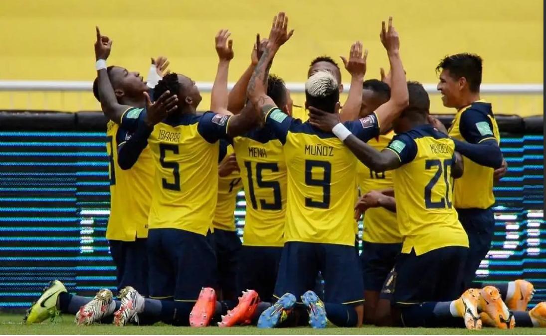 厄瓜多尔在线直播免费观看,世界杯打破东道主不败定律
