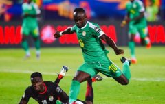 塞内加尔主要荣誉都有什么：世界杯中预计将会取得什么成绩