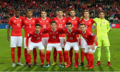 卡塔尔世界杯瑞士队，能否在成功出线