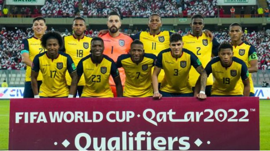 厄尔多瓜,世界杯,卡塔尔队,厄尔多瓜队,厄尔多瓜队阵容
