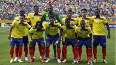 曾经在16强艰苦奋战的厄瓜多尔终于登上世界杯