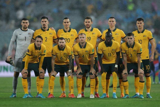 澳大利亚,世界杯,巴西,球员,阵容