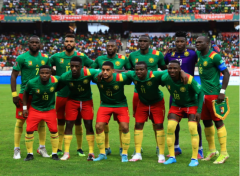 <b>今年的世界杯上喀麦隆会不会拿冠军呢</b>