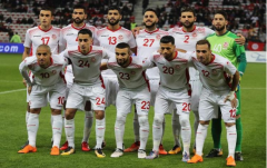 <b>突尼斯阵容依然强大世界杯定会有突破</b>