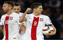本次2022年的世界杯波兰比赛前景怎样