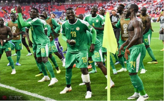塞内加尔队,世界杯,足球,卡塔尔,赛事