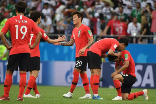 韩国,世界杯,加纳,卡塔尔,李东俊