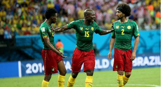 喀麦隆队,喀麦隆队世界杯,托科·埃坎,巴索戈,非洲