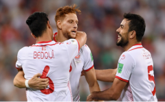 突尼斯世界杯形势最低目标8强同组对手能否同意