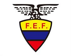 厄瓜多尔队,厄瓜多尔世界杯,小组赛,提前开赛,世界杯首秀