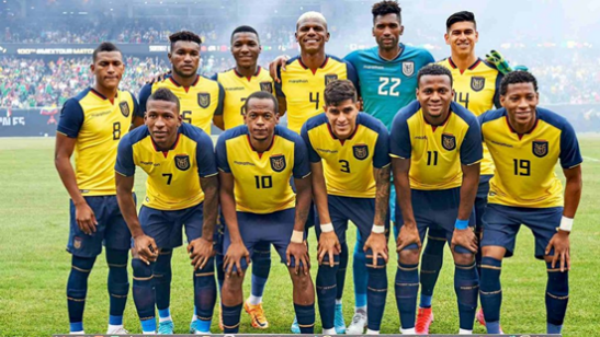 厄瓜多尔足球队阵容,阿拉维斯,马德里竞技,世界杯前瞻,世界杯,足球赛事