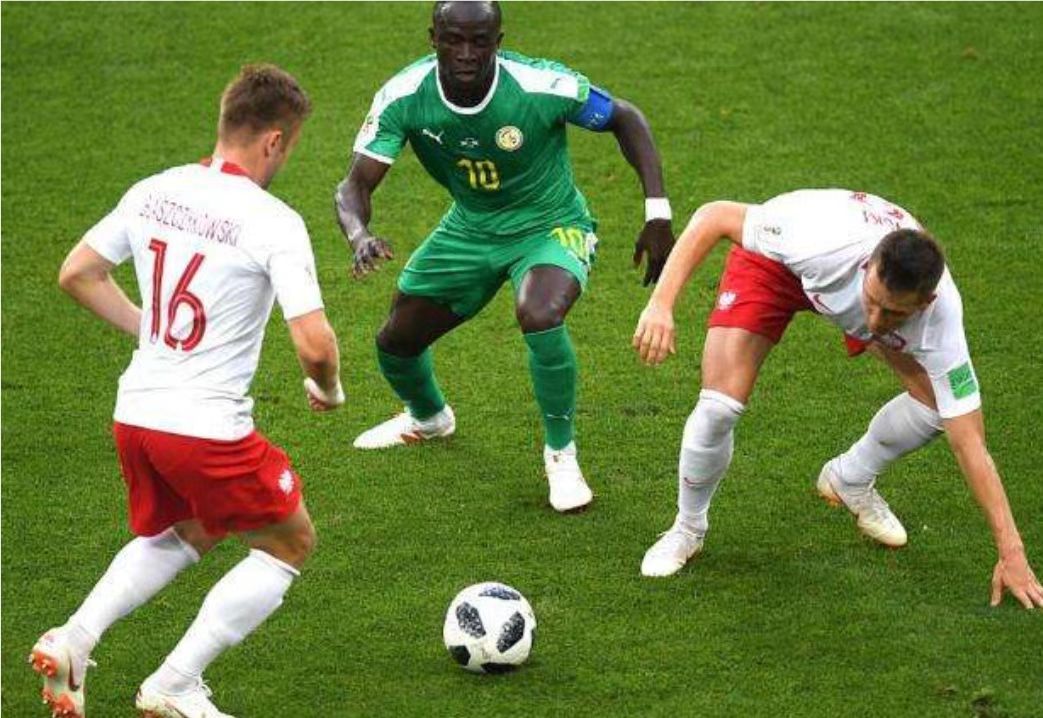 塞内加尔足球队2022世界杯,莱加内斯,阿拉维斯,世界杯前瞻,世界杯