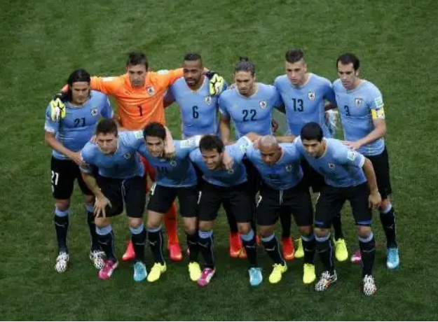 乌拉圭足球队俱乐部,乌拉圭世界杯,爱丁森·卡瓦尼,路易斯·苏亚雷斯,迭戈·戈丁