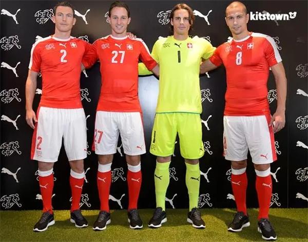 瑞士国家男子足球队赛事,布鲁诺-费尔南德斯,世界杯
