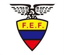 厄瓜多尔队,厄瓜多尔世界杯,实力较弱,年轻球员,经验充足