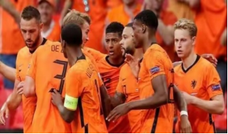 荷兰国家队成员,荷兰世界杯,新选手,出道即巅峰,欧洲杯