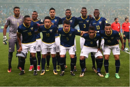 厄瓜多尔足球队赛事,韦世豪,格拉纳达,世界杯