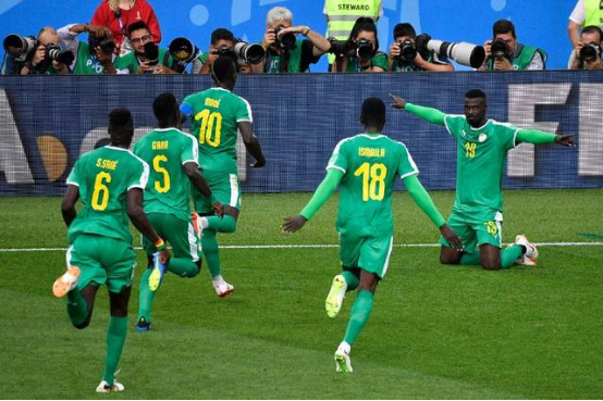 塞内加尔队, 塞内加尔世界杯,卡塔尔世界杯,世界杯世预赛,大力神杯
