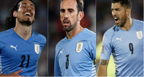 乌拉圭国家队,乌拉圭世界杯,,卡塔尔队,佩雷拉,巴尔韦德,卡瓦尼