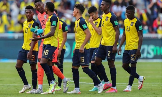 厄瓜多尔队世界杯预测,维戈塞尔塔,卡迪斯,足球比分直播,世界杯直播,世界杯