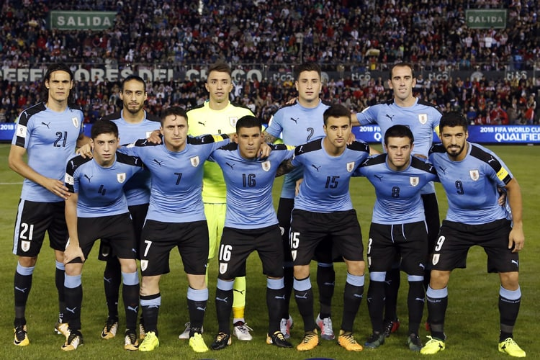 乌拉圭国家队,世界杯,马洛卡