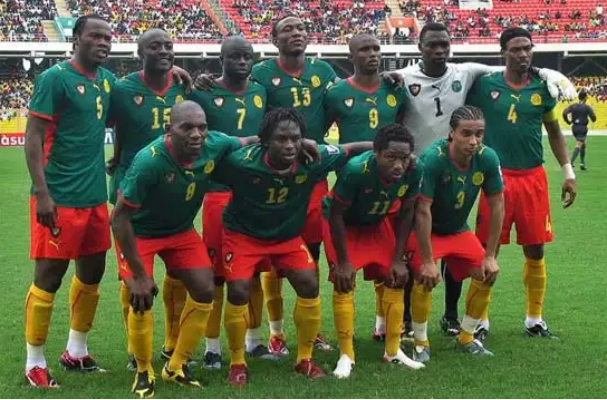 喀麦隆队俱乐部,喀麦隆世界杯,非洲地区,塞尔维亚,巴西