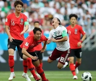 韩国足球队,韩国世界杯,足球比赛,竞技比赛,国际足联