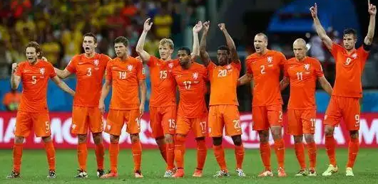 荷兰队球迷,荷兰世界杯,史蒂文·伯格休斯,系列赛,足球比赛
