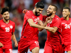世界杯前卫伊布是怎样在欧洲赢得复活的突尼斯世界杯最新大名