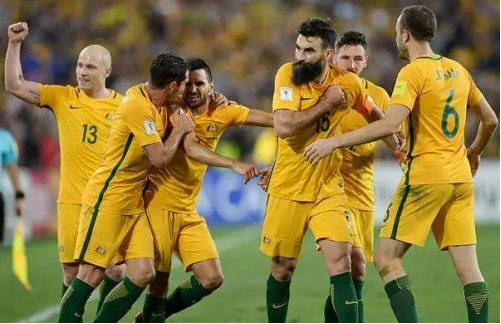 澳大利亚足球队,澳大利亚世界杯,联赛,马尔科蒂利奥,冠军封印