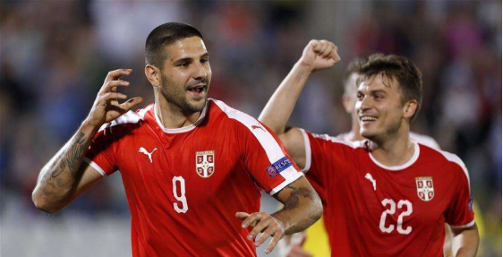 塞尔维亚阵容,塞尔维亚世界杯,斯托伊科维奇,拉伊科维奇,世界杯小组赛