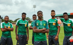 喀麦隆足球队能否在 2022 年世界杯上表现出色，球迷对此很期待