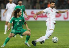 沙特足球队能够成功晋级世界杯，足以证明球队的实力强