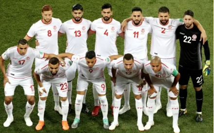 突尼斯足球队,突尼斯世界杯,优质球员,预赛,领袖球员