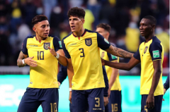 富勒姆VS埃弗顿前瞻分析与预测厄瓜多尔国家男子足球队赛程表