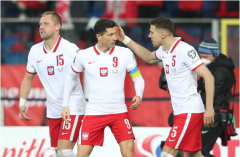 波兰国家队主力球员本届世界杯之后将退休
