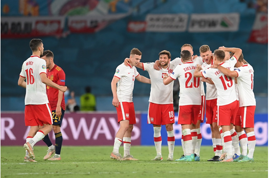 波兰世界杯球队预测,波兰世界杯,罗伯特·莱万多夫斯基,选拔赛,球迷