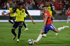 大数据预测:世界杯夺冠概率最高世界杯排名第二厄瓜多尔队赛事