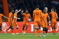 <b>卡塔尔世界杯32强预测荷兰国家足球队郁金香含苞待放，世界杯</b>