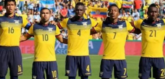 厄瓜多尔世界杯预测,厄瓜多尔世界杯,32强,古斯塔沃