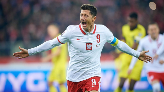 波兰世界杯视频直播