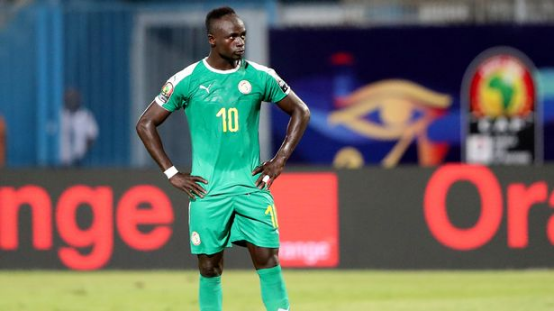 塞内加尔世界杯黑马预测,塞内加尔世界杯,卡塔尔世界杯,巴博体育,荷兰队