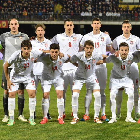 塞尔维亚世界杯黑马预测,塞尔维亚世界杯,巴尔干之虎,挑战,国家队
