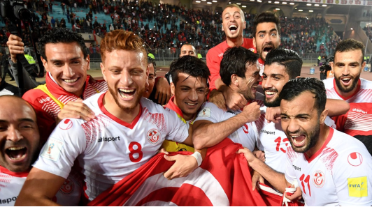 突尼斯队世界杯黑马预测,突尼斯世界杯,夺冠,预选赛,足球