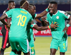 塞内加尔球队阵容明星球员和新手小将的强强联合