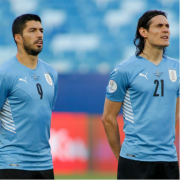 世界杯兰斯VS布雷斯特前瞻分析:兰斯享有主场优势乌拉圭队比赛