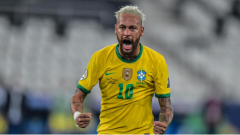 巴西足球队世界杯分析预测誓夺冠军世界杯上桑巴军团终圆一梦