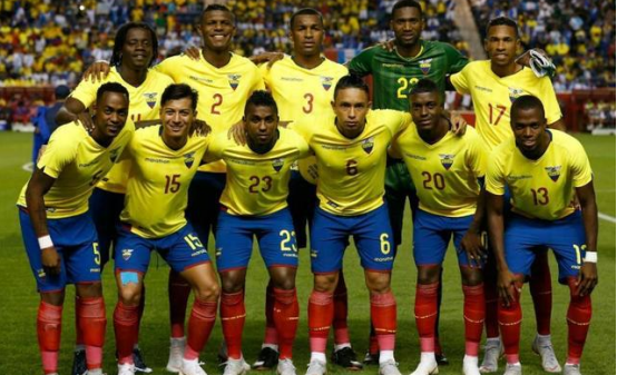 厄瓜多尔足球队,厄瓜多尔世界杯,智利,淘汰赛,决赛圈