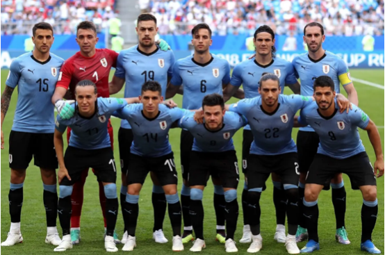 乌拉圭国家队世界杯预测,乌拉圭世界杯,南美赛区,冠军,巴尔韦德